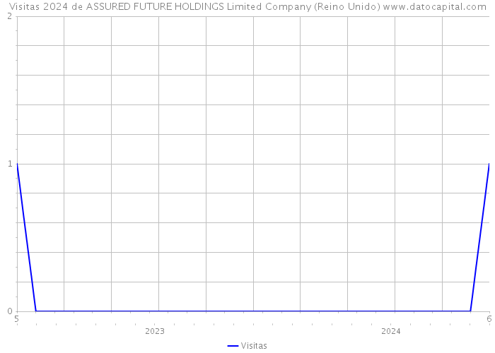 Visitas 2024 de ASSURED FUTURE HOLDINGS Limited Company (Reino Unido) 