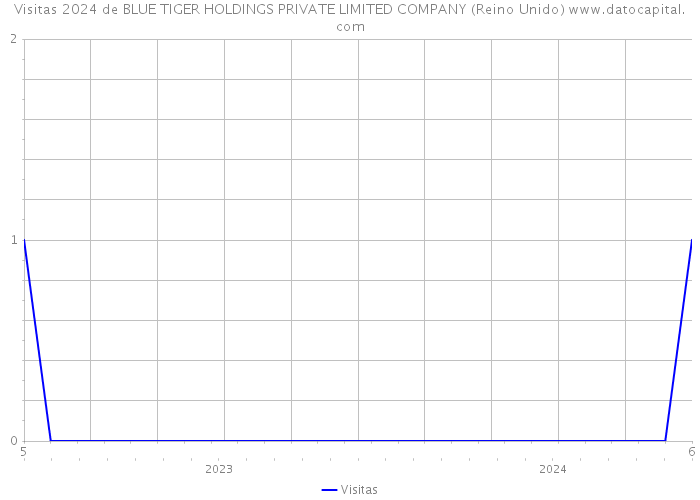 Visitas 2024 de BLUE TIGER HOLDINGS PRIVATE LIMITED COMPANY (Reino Unido) 