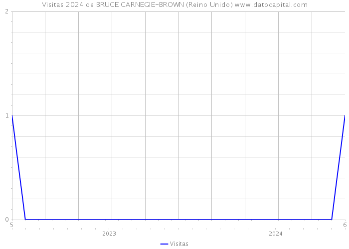 Visitas 2024 de BRUCE CARNEGIE-BROWN (Reino Unido) 