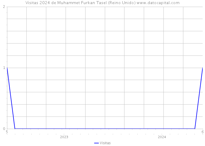 Visitas 2024 de Muhammet Furkan Tasel (Reino Unido) 