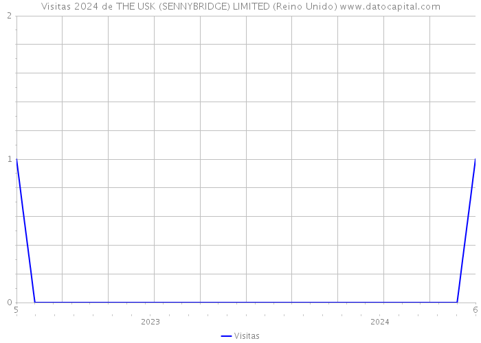 Visitas 2024 de THE USK (SENNYBRIDGE) LIMITED (Reino Unido) 