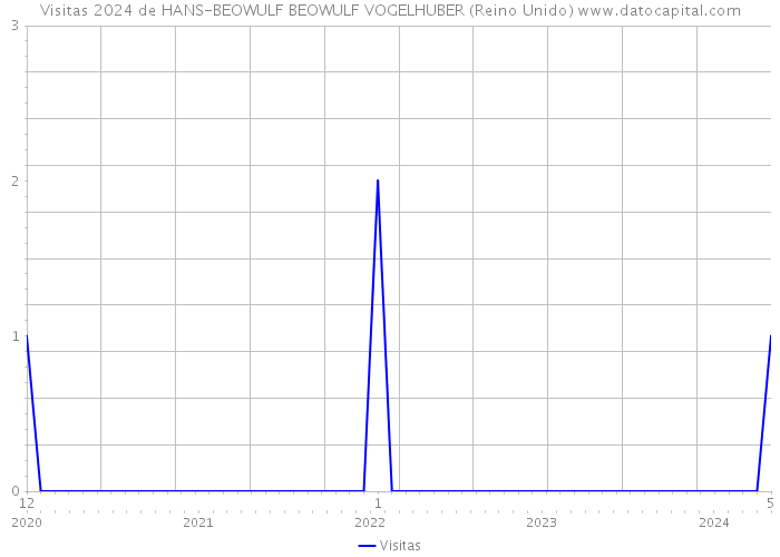 Visitas 2024 de HANS-BEOWULF BEOWULF VOGELHUBER (Reino Unido) 