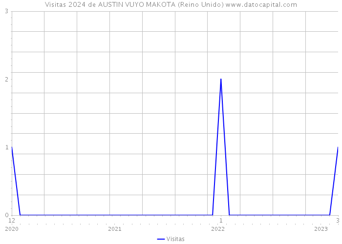 Visitas 2024 de AUSTIN VUYO MAKOTA (Reino Unido) 