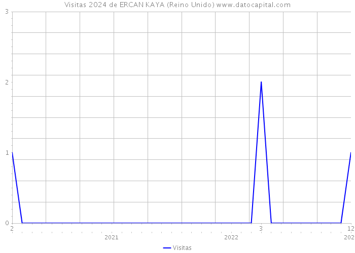 Visitas 2024 de ERCAN KAYA (Reino Unido) 