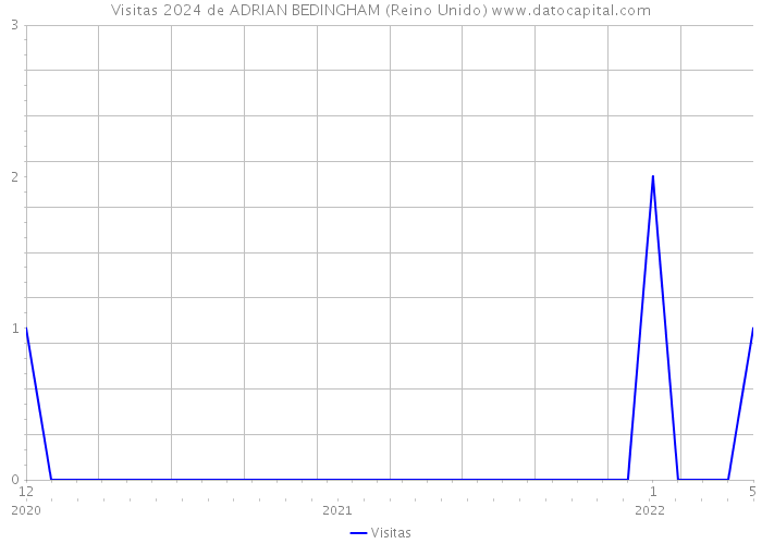 Visitas 2024 de ADRIAN BEDINGHAM (Reino Unido) 