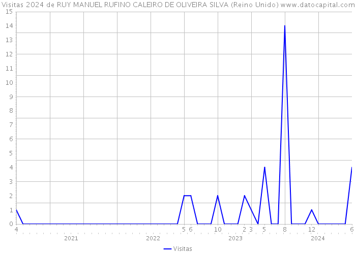 Visitas 2024 de RUY MANUEL RUFINO CALEIRO DE OLIVEIRA SILVA (Reino Unido) 