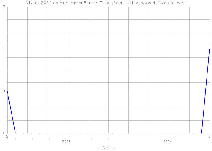 Visitas 2024 de Muhammet Furkan Tasel (Reino Unido) 