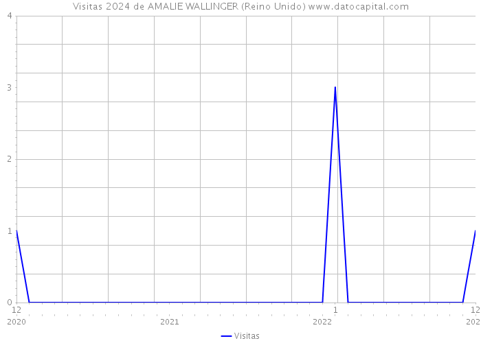 Visitas 2024 de AMALIE WALLINGER (Reino Unido) 