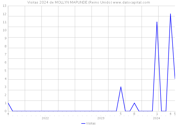 Visitas 2024 de MOLLYN MAPUNDE (Reino Unido) 