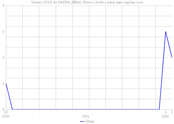 Visitas 2024 de NADRA JEBALI (Reino Unido) 