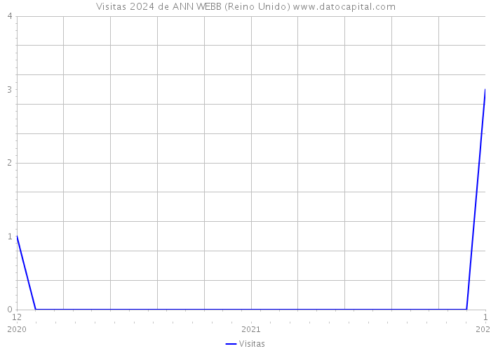 Visitas 2024 de ANN WEBB (Reino Unido) 