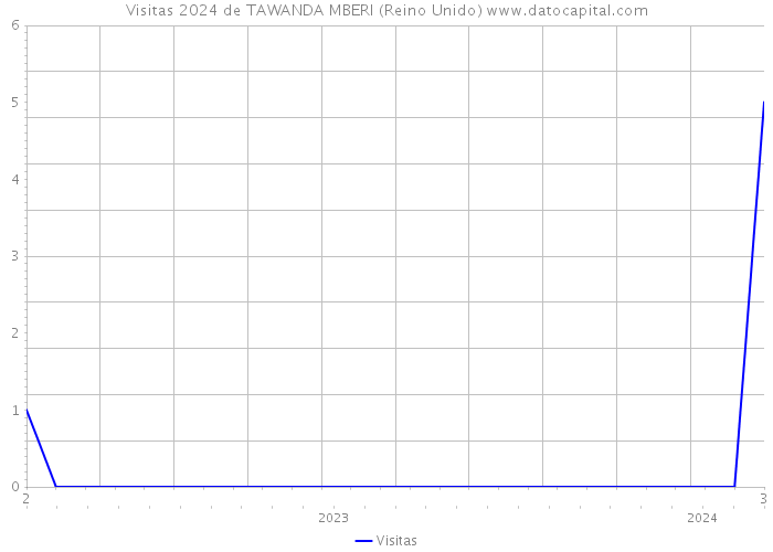 Visitas 2024 de TAWANDA MBERI (Reino Unido) 