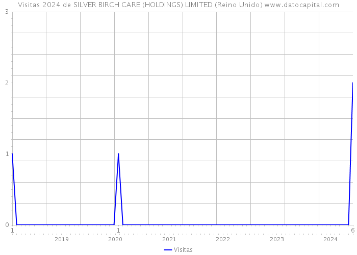 Visitas 2024 de SILVER BIRCH CARE (HOLDINGS) LIMITED (Reino Unido) 