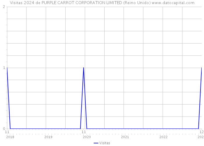 Visitas 2024 de PURPLE CARROT CORPORATION LIMITED (Reino Unido) 