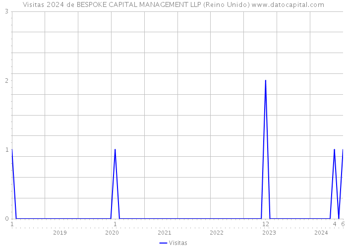 Visitas 2024 de BESPOKE CAPITAL MANAGEMENT LLP (Reino Unido) 