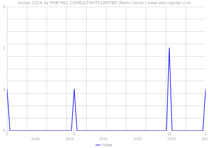 Visitas 2024 de PINE HILL CONSULTANTS LIMITED (Reino Unido) 