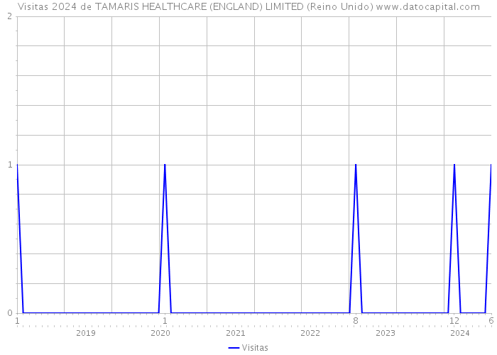 Visitas 2024 de TAMARIS HEALTHCARE (ENGLAND) LIMITED (Reino Unido) 