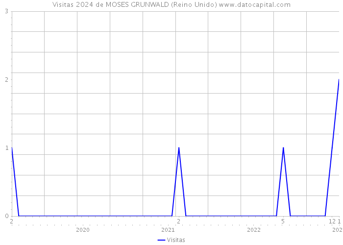 Visitas 2024 de MOSES GRUNWALD (Reino Unido) 