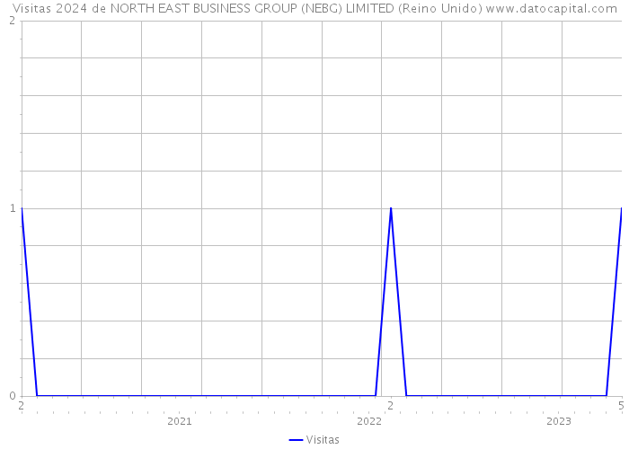 Visitas 2024 de NORTH EAST BUSINESS GROUP (NEBG) LIMITED (Reino Unido) 