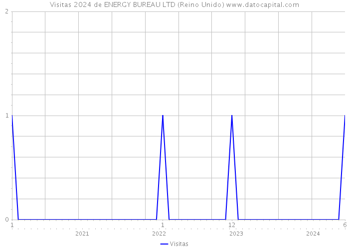 Visitas 2024 de ENERGY BUREAU LTD (Reino Unido) 