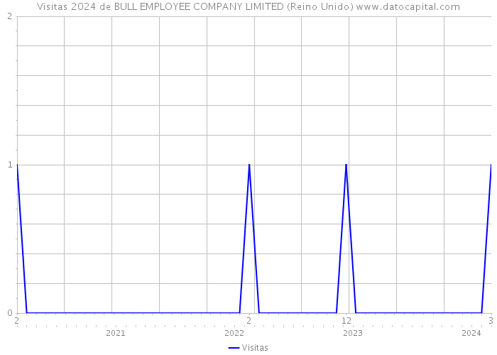 Visitas 2024 de BULL EMPLOYEE COMPANY LIMITED (Reino Unido) 