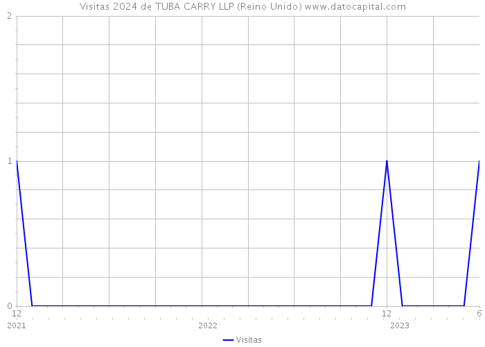 Visitas 2024 de TUBA CARRY LLP (Reino Unido) 