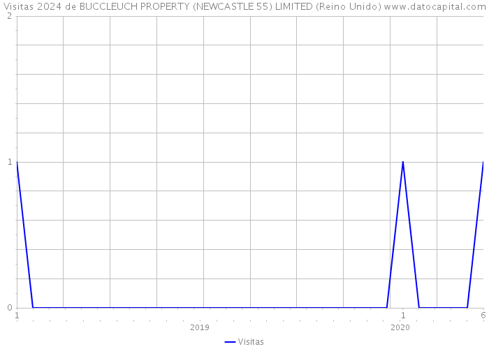 Visitas 2024 de BUCCLEUCH PROPERTY (NEWCASTLE 55) LIMITED (Reino Unido) 