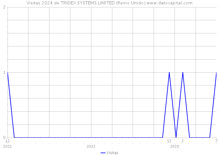 Visitas 2024 de TRIDEX SYSTEMS LIMITED (Reino Unido) 