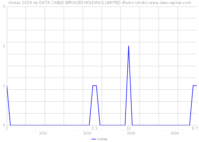 Visitas 2024 de DATA CABLE SERVICES HOLDINGS LIMITED (Reino Unido) 
