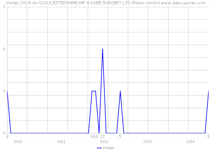 Visitas 2024 de GLOUCESTERSHIRE HIP & KNEE SURGERY LTD (Reino Unido) 