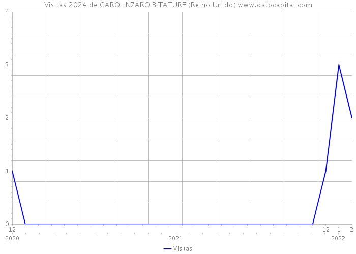 Visitas 2024 de CAROL NZARO BITATURE (Reino Unido) 