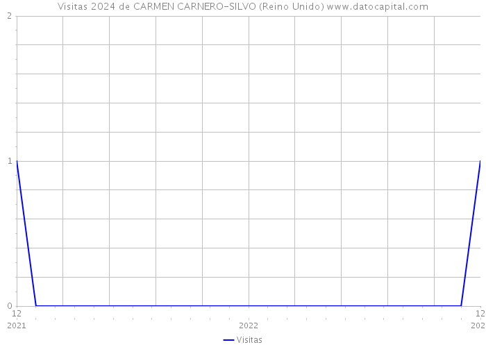 Visitas 2024 de CARMEN CARNERO-SILVO (Reino Unido) 