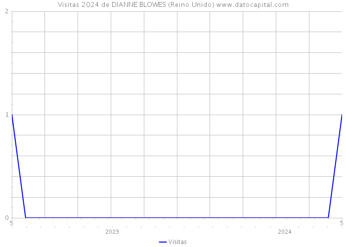 Visitas 2024 de DIANNE BLOWES (Reino Unido) 