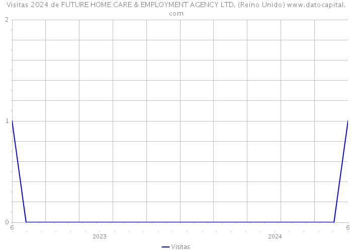 Visitas 2024 de FUTURE HOME CARE & EMPLOYMENT AGENCY LTD. (Reino Unido) 