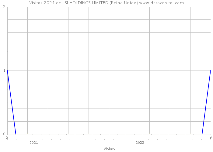 Visitas 2024 de LSI HOLDINGS LIMITED (Reino Unido) 