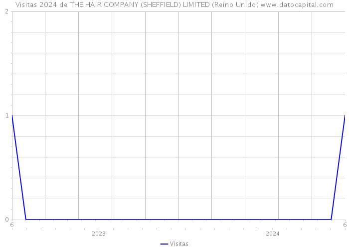 Visitas 2024 de THE HAIR COMPANY (SHEFFIELD) LIMITED (Reino Unido) 