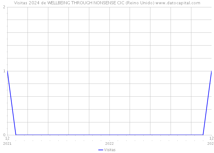 Visitas 2024 de WELLBEING THROUGH NONSENSE CIC (Reino Unido) 