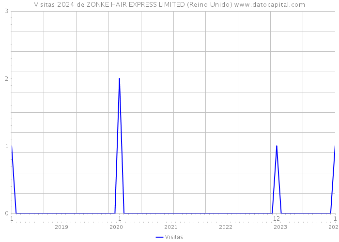 Visitas 2024 de ZONKE HAIR EXPRESS LIMITED (Reino Unido) 