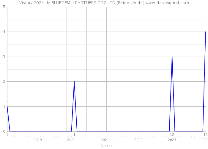 Visitas 2024 de BLUEGEM II PARTNERS CO2 LTD (Reino Unido) 