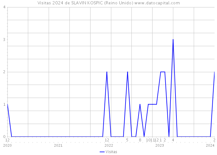 Visitas 2024 de SLAVIN KOSPIC (Reino Unido) 