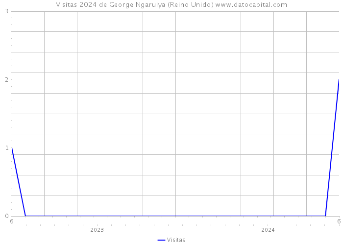 Visitas 2024 de George Ngaruiya (Reino Unido) 