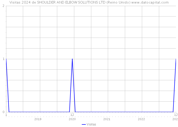 Visitas 2024 de SHOULDER AND ELBOW SOLUTIONS LTD (Reino Unido) 