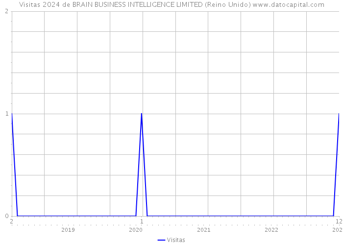 Visitas 2024 de BRAIN BUSINESS INTELLIGENCE LIMITED (Reino Unido) 