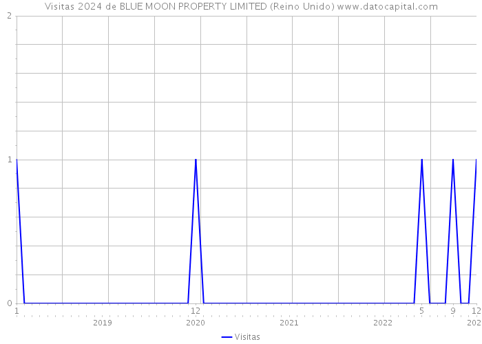 Visitas 2024 de BLUE MOON PROPERTY LIMITED (Reino Unido) 