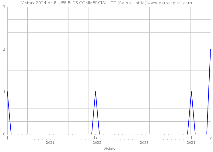 Visitas 2024 de BLUEFIELDS COMMERCIAL LTD (Reino Unido) 