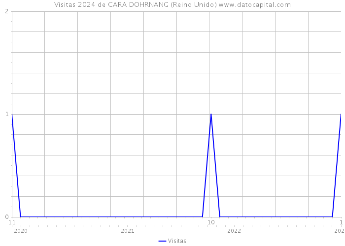 Visitas 2024 de CARA DOHRNANG (Reino Unido) 