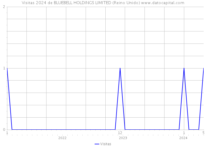 Visitas 2024 de BLUEBELL HOLDINGS LIMITED (Reino Unido) 