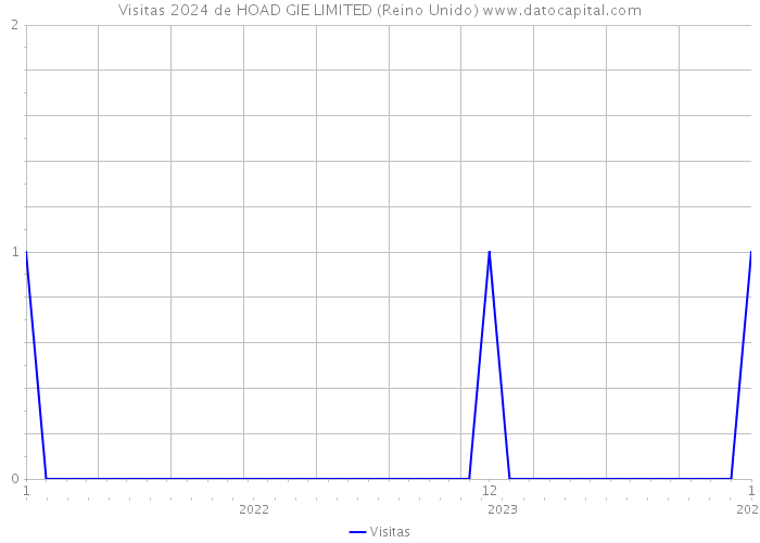 Visitas 2024 de HOAD GIE LIMITED (Reino Unido) 