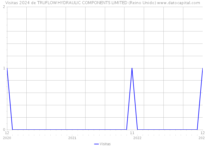 Visitas 2024 de TRUFLOW HYDRAULIC COMPONENTS LIMITED (Reino Unido) 