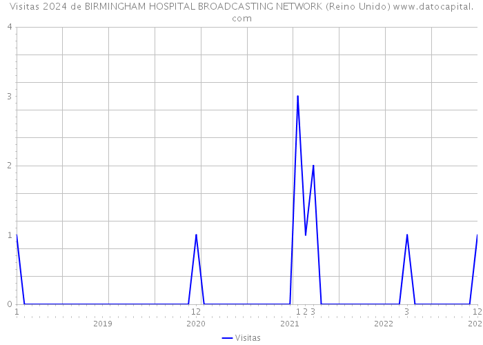 Visitas 2024 de BIRMINGHAM HOSPITAL BROADCASTING NETWORK (Reino Unido) 